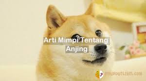 Termasuk mimpi tentang anjing, banyak sekali tafsir serta ramalan mimpi hewan ini. Tafsir Dan Penjelasan Dari Arti Mimpi Tentang Anjing Dalam Kehidupan Kita