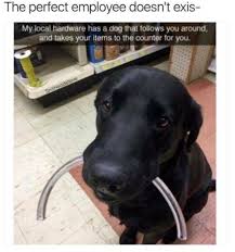 16 Pics That Ll Make Dog People Say Perfect Doesn T Exi