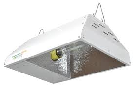 Solar lights outdoor 140 led/2 pack, solar lights with 3 optional modes, 270° wide angle solar motion light, motion deck lights, ip65 waterproof solar powered wall lights for garden, patio, yard 4.1 out of 5 stars 105 How To Choose The Best Solar Powered Grow Lights Suntrica