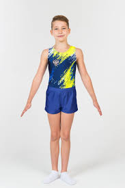 Gymnasts are physical artists in their own right, just watching them get into the craziest positions and perform stunts that would be near. Men S Leotards Gymnastics Fantastic Rg Leotard Com