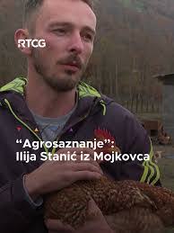 Ilija Stanic's Instagram, Twitter & Facebook