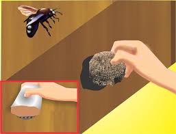 How To Get Rid Of Carpenter Bees Carpenter Bee Carpenter Bee Trap Wood Bees