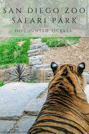 How To Buy Discount San Diego Zoo Safari Park Tickets Top 14 Ways La Jolla Mom San Diego Zoo Safari Park San Diego Zoo Safari Park