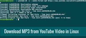 Image result for youtube-dl download entire channel