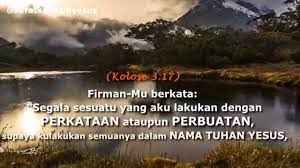 Biasanya tanaman ini dapat dijadikan sebagai tanaman hias yang letakkan pada sebuah pot. Renungan Harian Home Facebook