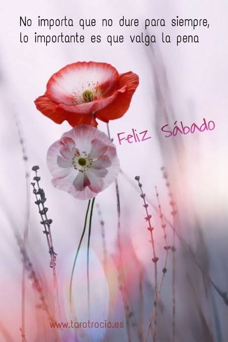 75 Imágenes de Feliz Sábado ✓ Para Desear un Buen Fin de Semana ????