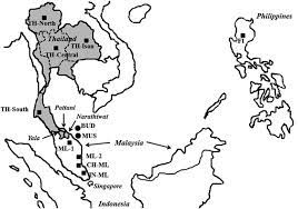 We hope this will help you to understand malay better. Forensic Str Loci Reveal Common Genetic Ancestry Of The Thai Malay Muslims And Thai Buddhists In The Deep Southern Region Of Thailand Journal Of Human Genetics