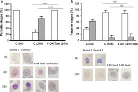 Tamoxifen activity against Plasmodium in vitro and in mice