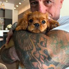 Joe Rogan's latest guest might be his cutest yet. Little Charlie is in the  studio folks!❤️ @charlielourogan . . ❤️ If you love Cavalier's as much as  we do, follow us @carlsbadcavaliers . . #