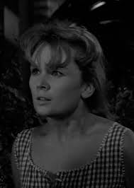 A Thriller a Day...: The Watcher: Season 1 Episode 8