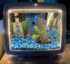 Contoh beberapa gambar hiasan aquarium unik dan keren dengan buatan sendiri dari desain aquarium yang paling canggih sekarang ini. 8 Desain Akuarium Unik Yang Anti Mainstream Di Dunia