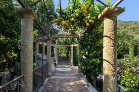 Best organic fertilizer for fruit trees. How To Keep Your Citrus Trees Well Fed And Healthy