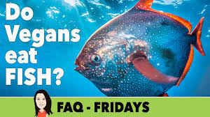 Each species is adapted to live in special conditions. Faq Friday Do Vegans Eat Fish Youtube