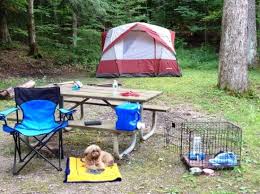 This is a free dispersed and primitive campsite in the monongahela national forest off of forest road 44 adjacent to the allegheny trail and west fork rail trail in pocahontas county, west virginia. Camp All Set Up Picture Of Allegheny National Forest Pennsylvania Tripadvisor