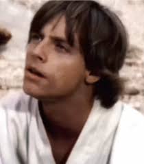 Mark Hammel Jake Skywalker
