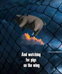 Pigs On The Wing Pink Floyd Pig Pink Floyd Lyrics Pink Floyd
