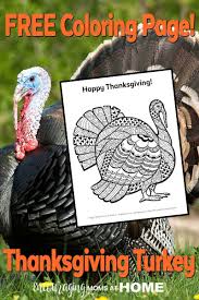 Discover thanksgiving coloring pages that include fun images of turkeys, pilgrims, and food that your kids will love to color. Free Turkey Coloring Page For Thanksgiving
