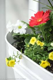 Check spelling or type a new query. How To Plant The Perfect Flower Pot Handmade In The Heartland