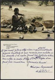 Image result for Melinis macrochaeta