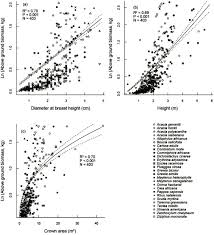 Image result for Ochna hackarsii