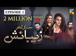 For our english audience, we have decided to provide the subtitle for you to download here. Zebaish Episode 1 English Subtitles Hum Tv Drama 12 June 2020 Youtube