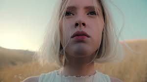 Field, Dry Stalks, Hills, Shade by Ira Belsky