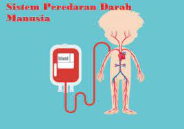 We did not find results for: Jawaban Buku Ipa Kelas 8 Uji Kompetensi Hal 283 Bab 6 Sistem Peredaran Darah Manusia Pentium Sintesi