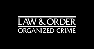 In the nation's largest city, the vicious and violent members of the underworld are hunted by the detectives of the organized crime control bureau. Law Order Organized Crime Staffel 1 Episodenguide Alle Folgen Im Uberblick
