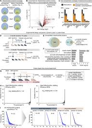 But, what is a cell made of? Long Lived Mitochondrial Cristae Proteins In Mouse Heart And Brain Journal Of Cell Biology Rockefeller University Press