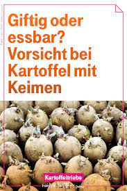 Pin Auf Essen Trinken Leckere Rezepte