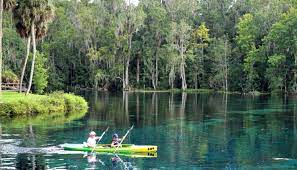 It is a very popular weekend activity for daytona beach locals. Silver Springs State Park In Ocala Florida Travel The South Bloggers