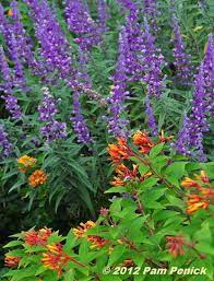 Pin On Plants For The Yard