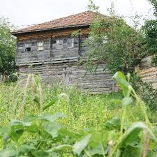 We did not find results for: Sinop Turkeli Catakgeris Stcatakgeris Twitter