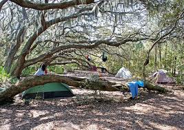 Cumberland Island S Five Campgrounds Amelia Island Living Emagazine