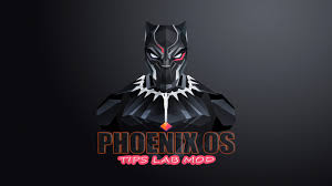 There is two variant of phoenix os; Phoenix Os Tl Mod V4 0 Best Gaming Os Android X86 Project Xda Developers Forums