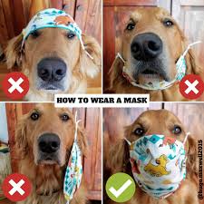 Socal Golden Retriever Buddies On Twitter Wearing A Fabric Mask Does Not Protect You From Other People S Germs It Does Help Protect Others From Your Germs We Are Not Out Of The