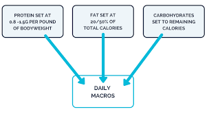 How To Create A Macronutrient Diet Plan For Personal