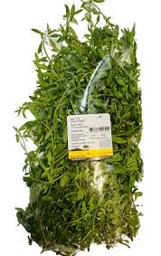 Image result for Glinus