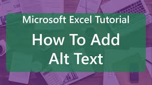 Microsoft Excel Tutorial How To Add Alt Text