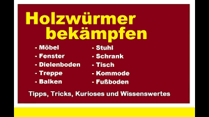 Holzwurmer Bekampfen Holzwurm Loswerden Hausmittel Mit Eicheln Entfernen Holzwurmer Bekampfen Holzwurm Holz