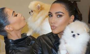 Kim Kardashian Is Full Of Puppy Love With Sushi And Sake After Forbes Disputes Billionaire Status Daily Mail Online Khloe kardashian says beloved family dog gabbana died 'when she knew i wouldn't be alone'.
