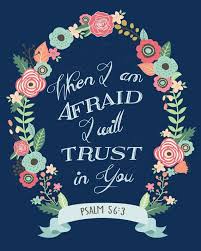 Rolando Sison (infoamorc)