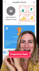Labor and Delivery Nurse Baby Tracker App