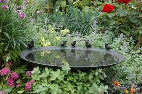 Pin By Sammy D On Kawana Crescent Ideas Bird Bath Bird Bath Garden Bird Bath Bowl
