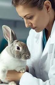 Albuquerque the Magazine, March 2024 by Albuquerque The Magazine