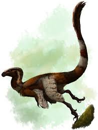 Palaeofail Explained Prehistoric Animals Ancient Animals Prehistoric Creatures