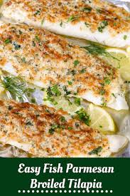 Easy Fish Parmesan Broiled Tilapia Fish Recipes Healthy Tilapia Recipes Healthy Tilapia Recipes Easy