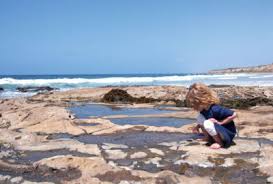 Explore The Tide Pools At Crystal Cove This Weekend