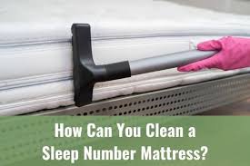 We did not find results for: How Can You Clean A Sleep Number Mattress Ready To Diy