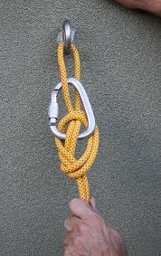 A knot is basically a swelling of the bulbus glandis, a part of a canine's penis. The Stone Knot Aka Stein Knot A Canyoneering Secret Weapon